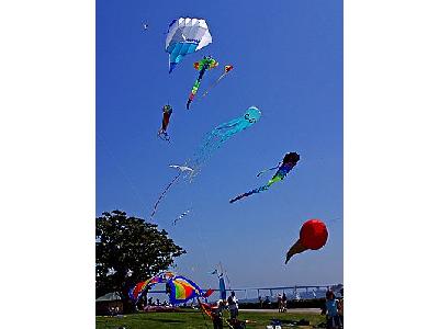 Photo Kites Flying Other