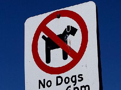 Photo No Dogs Allowed Other