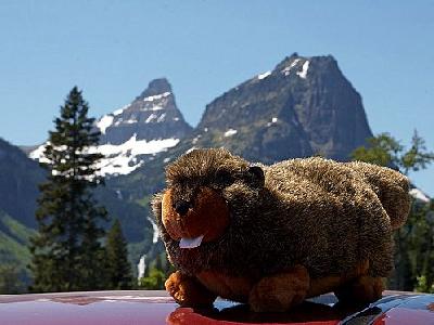 Photo Plush Marmot Other