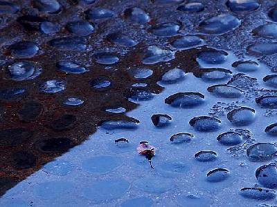 Photo Rain Puddle Other