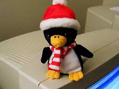 Photo Penguin Other