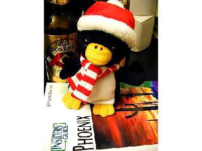 Photo Penguin 4 Other