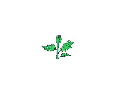 Logo Nature 061 Animated