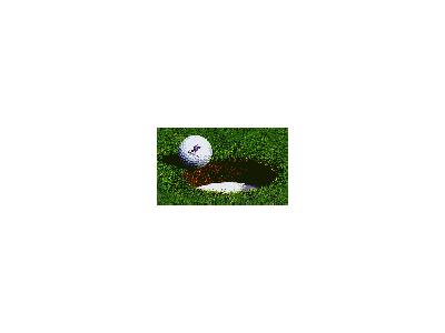 Logo Sports Golf 002 Animated
