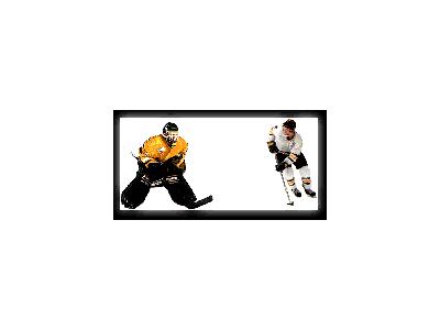 Logo Sports Hockey 003 Animated