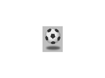 Logo Sports Soccer 008 Animated