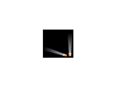 Logo Firelight 094 Animated