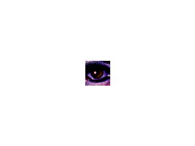 Logo Bodyparts Eyes 022 Animated