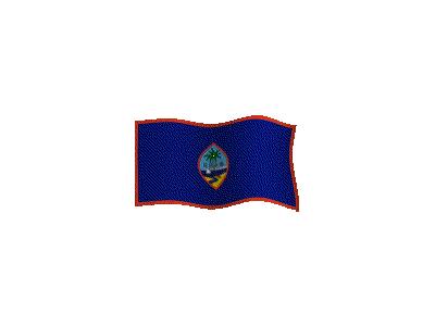 Logo Flags Plain 104 Color
