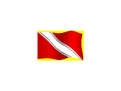 Logo Flags Plain 203 Color
