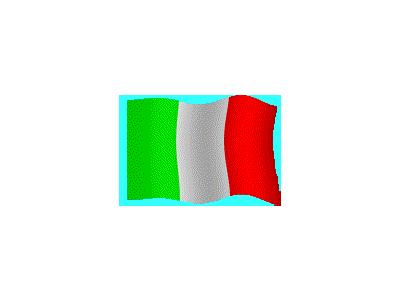 Logo Flags Plain 118 Color