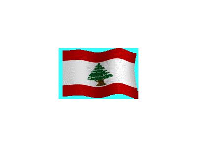 Logo Flags Plain 129 Color