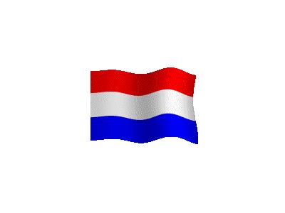 Logo Flags Plain 154 Color