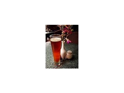 Photo Small Pilsner Beer Drink