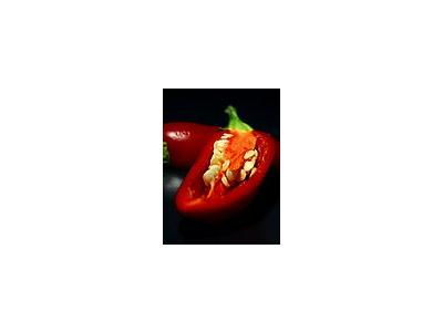 Photo Small Chilli Food