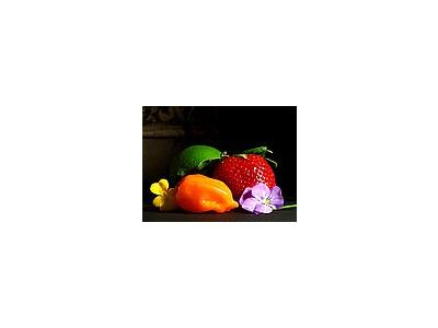 Photo Small Fruit Still Life Food