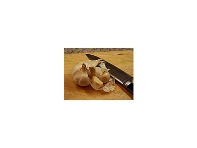 Photo Small Garlic Cloves Food