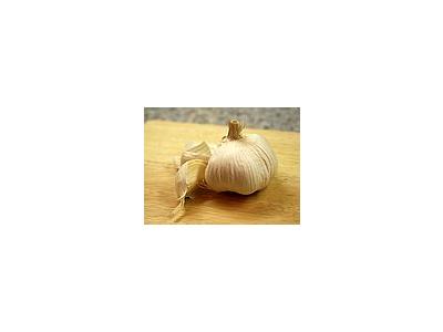 Photo Small Raw Garlic Food