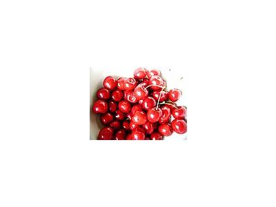 Photo Small Cherry 10 Food