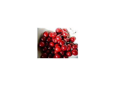 Photo Small Cherry 11 Food