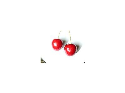 Photo Small Cherry 15 Food