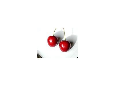 Photo Small Cherry 16 Food