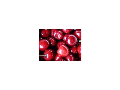 Photo Small Cherry 2 Food