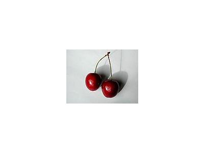 Photo Small Cherry 20 Food