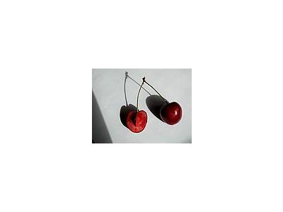 Photo Small Cherry 24 Food