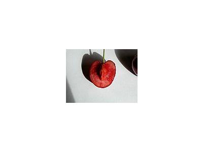 Photo Small Cherry 25 Food