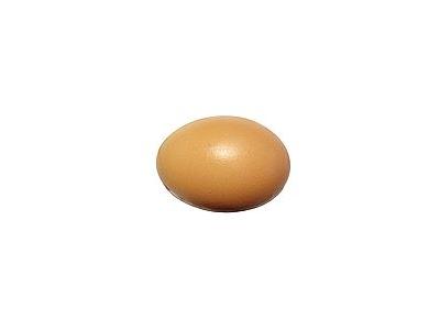 Photo Small Egg 1 Food