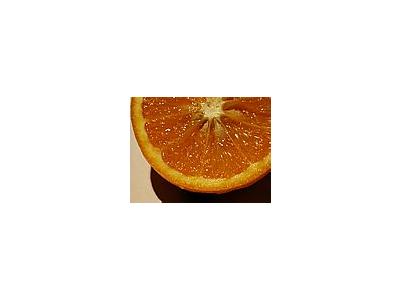 Photo Small Orange 3 Food