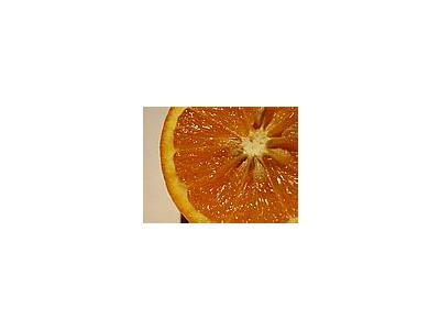 Photo Small Orange 7 Food