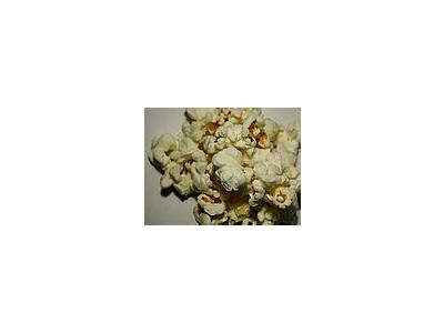 Photo Small Popcorn 1 Food