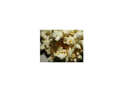 Photo Small Popcorn 2 Food