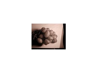 Photo Small Vine 7 Food