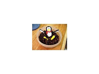 Photo Small Penguin And Coffee Food