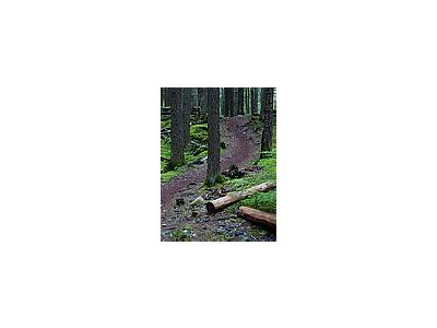 Photo Small Glacier Trail Landscape