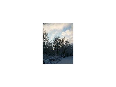 Photo Small Clearing Sky Landscape