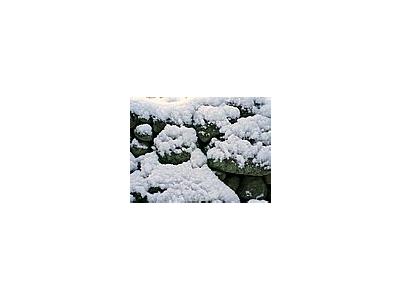 Photo Small Powder Snow On Stone Wall Landscape