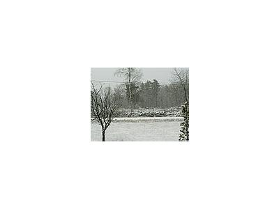 Photo Small Snowfall Landscape