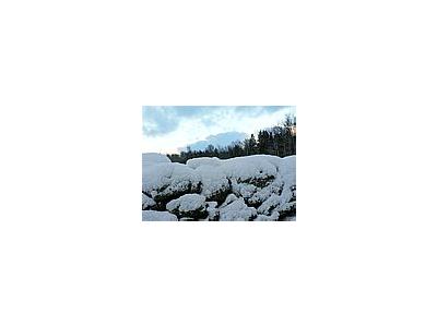 Photo Small Stone Wall With Snow Landscape