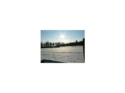 Photo Small Sunshine On Cattle Field Landscape