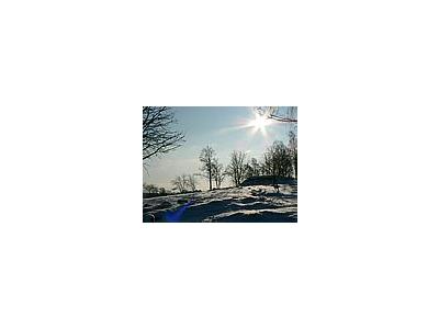 Photo Small Sunshine On Snowy Tree Hill Landscape