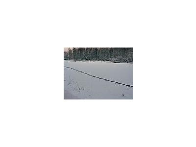 Photo Small Wire Fence 2 Landscape