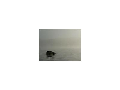 Photo Small Lake Rock In Morning Mist 3 Landscape