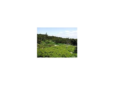 Photo Small Mountain 94 Landscape