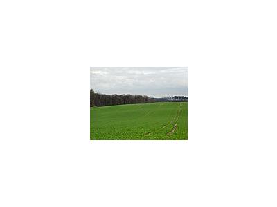 Photo Small Field 31 Landscape