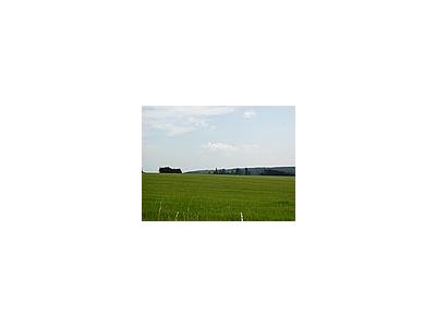 Photo Small Field 45 Landscape