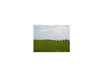 Photo Small Field 47 Landscape